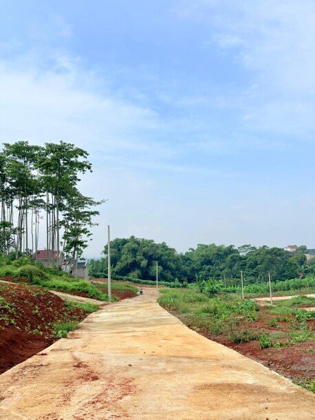 Investasi Tanah di Cileunyi – Lingkungan Asri, Bebas Banjir, Cocok untuk Villa-1