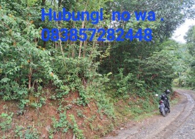 Tanah setrategis hadap jalan raya di yogya karta cicil mudah tanpa bank